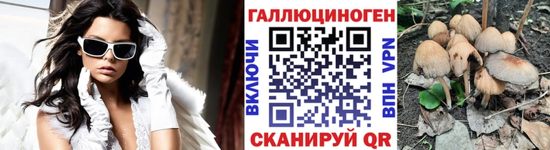 Галлюциногенные грибы Psilocybine cubensis Касли